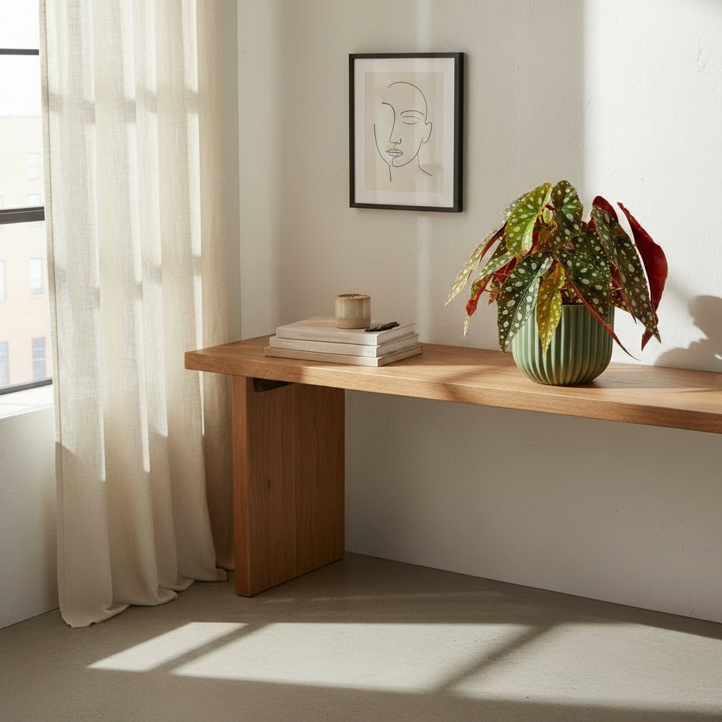 Begonia maculata ‘Wightii’ — Ø12 cm — H20 cm - Verdeia - 3