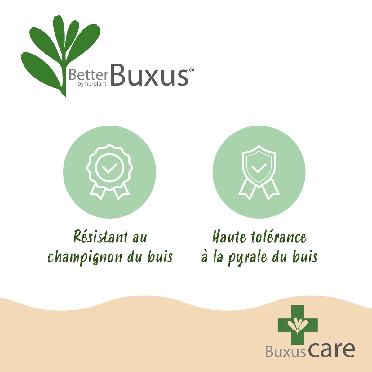 BetterBuxus® &