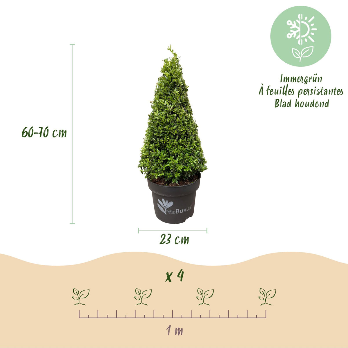 BetterBuxus® &