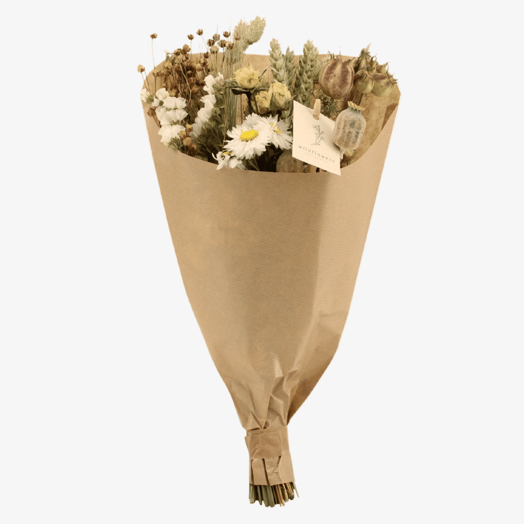 Ramo campestre assecat en paper kraft sobre fons blanc