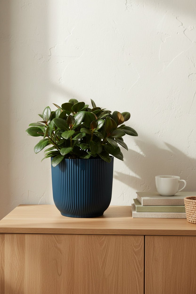 Cache-pot Elho Vibes Fold bleu posé sur un buffet devant un mur blanc