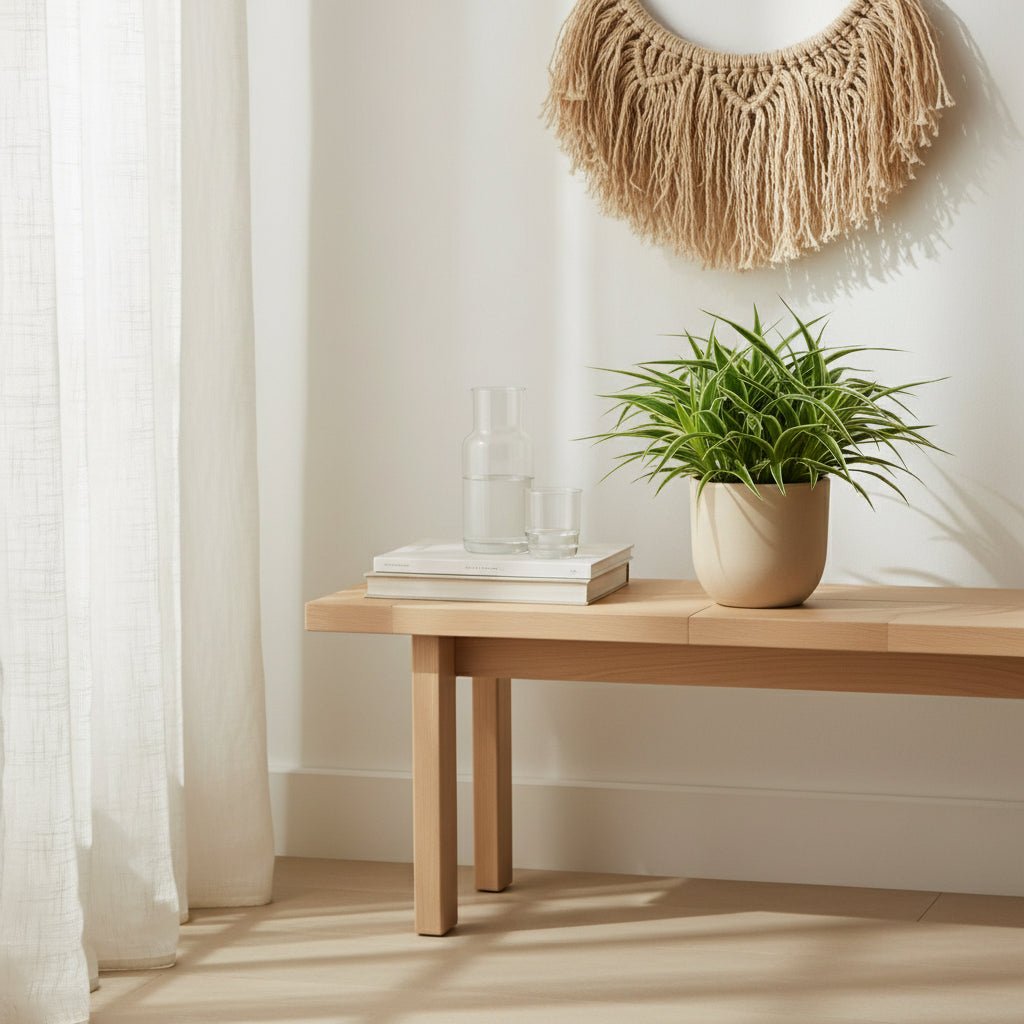 Chlorophytum comosum ‘Ocean’ — Planta araña — D15 x A25 cm - Verdeia - 3