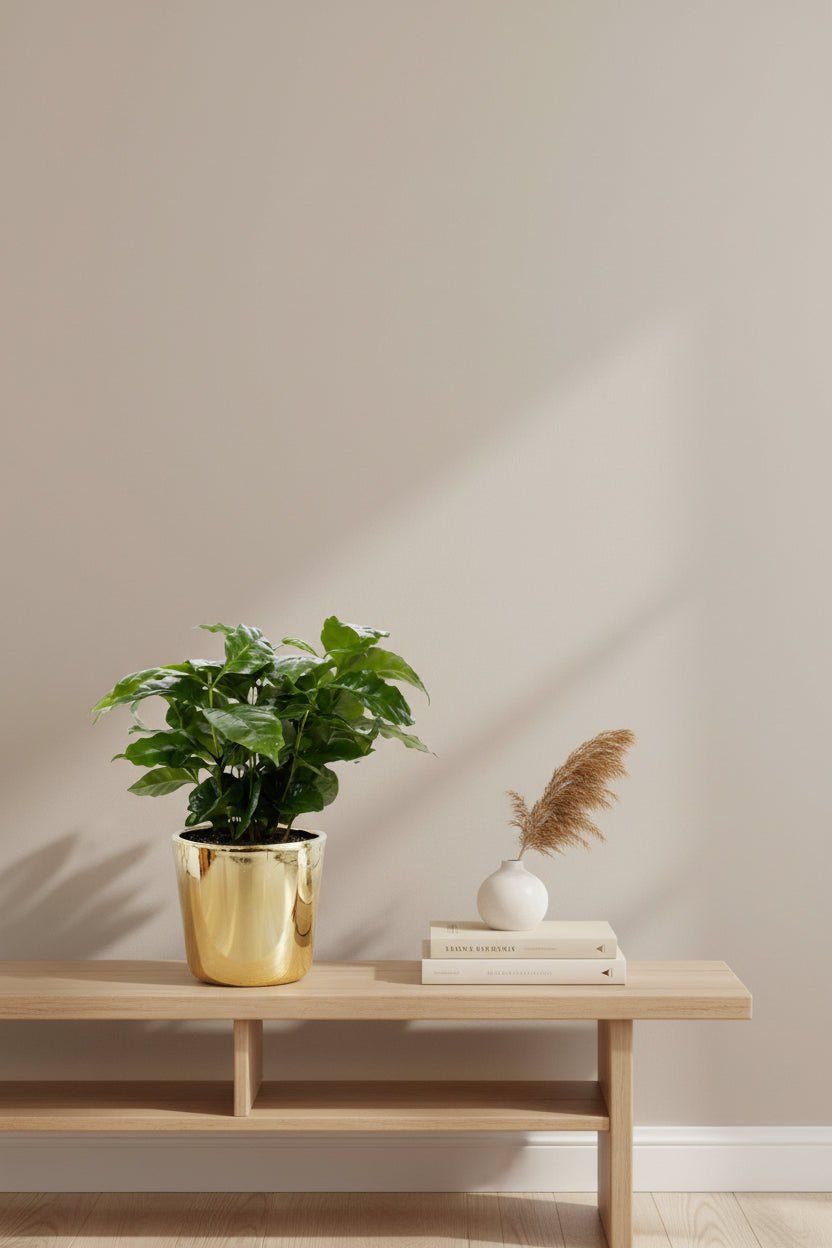 Coffea arabica — Caféplante — Ø12 x H20 cm — Klar til at stille — Guldglaseret keramik - Verdeia - 4