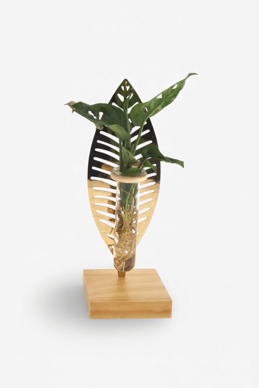 Hydroponische Pflanze — Goldblatt-Halterung und Holzsockel - H10 cm | Ø7 cm - Verdeia - 1
