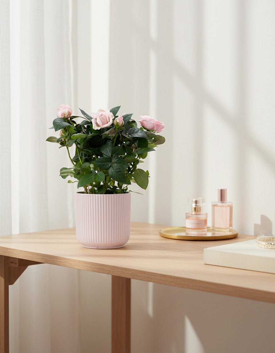 Rosier nain rose pâle — Ø12 x H30 cm — Prête à poser — Céramique rose - Verdeia - 3