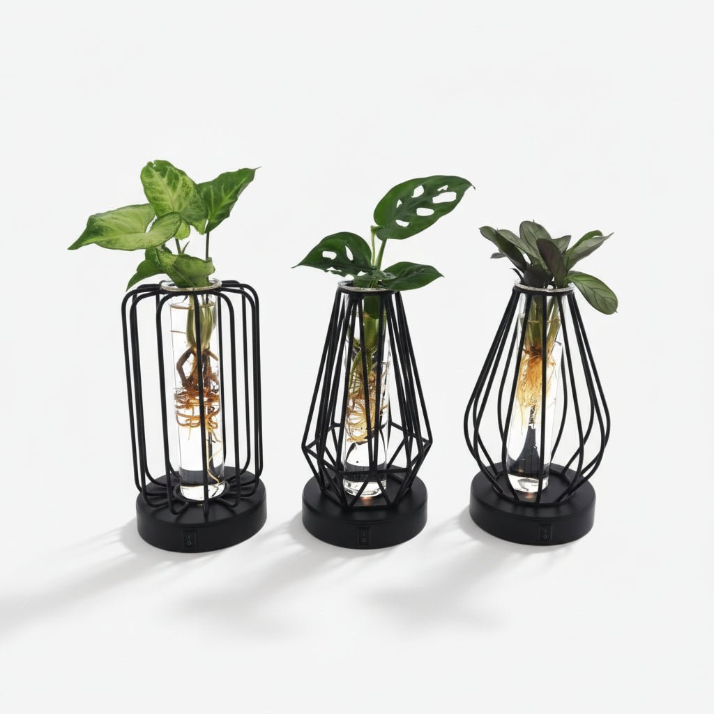 Trío de plantas hidropónicas — Jaulas de metal negro LED - H20 cm | Ø7 cm - Verdeia - 1