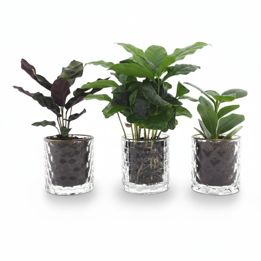 Trío Diseño Mix 7 x 25 cm - Verdeia - 1