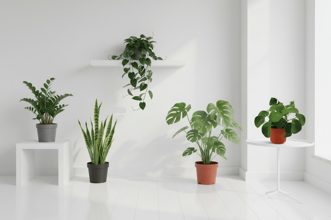 Fáciles de mantenimiento