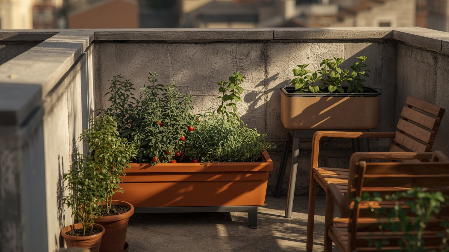 Potagers urbains - Verdeia