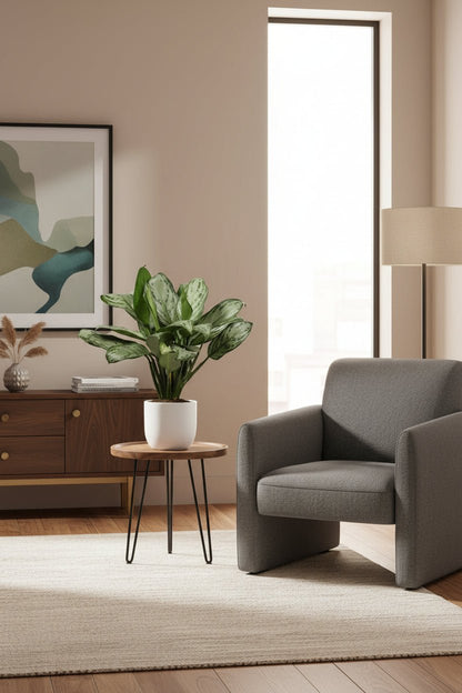 Aglaonema Maria Christina (Plante chinoise) - H40 cm | Pot Ø14 cm - Verdeia - 3