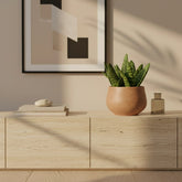 Aloe paradisicum — D10,5 x H15 cm - Verdeia - 4