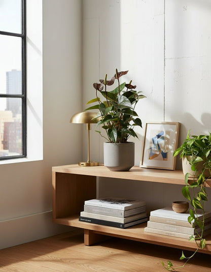 Anthurium Black Love — Ø12 cm — H36 cm - Verdeia