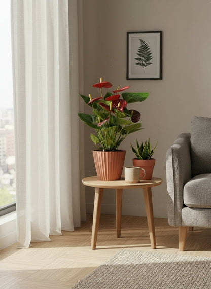 Anthurium Calon — Ø12 cm — H36 cm - Verdeia