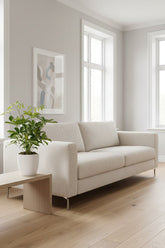 Umbrella tree — Schefflera &