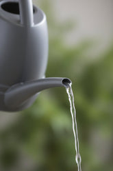 Gros plan sur le bec du Arrosoir 3.5L Elho — Gris