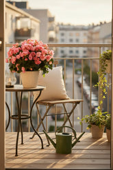 Begonia Betulia Candy — Bégonia rosa colocada sobre una mesa en un balcón urbano