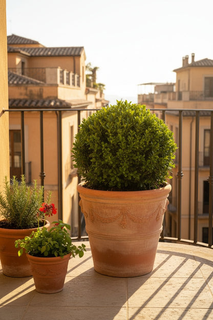 BetterBuxus® &