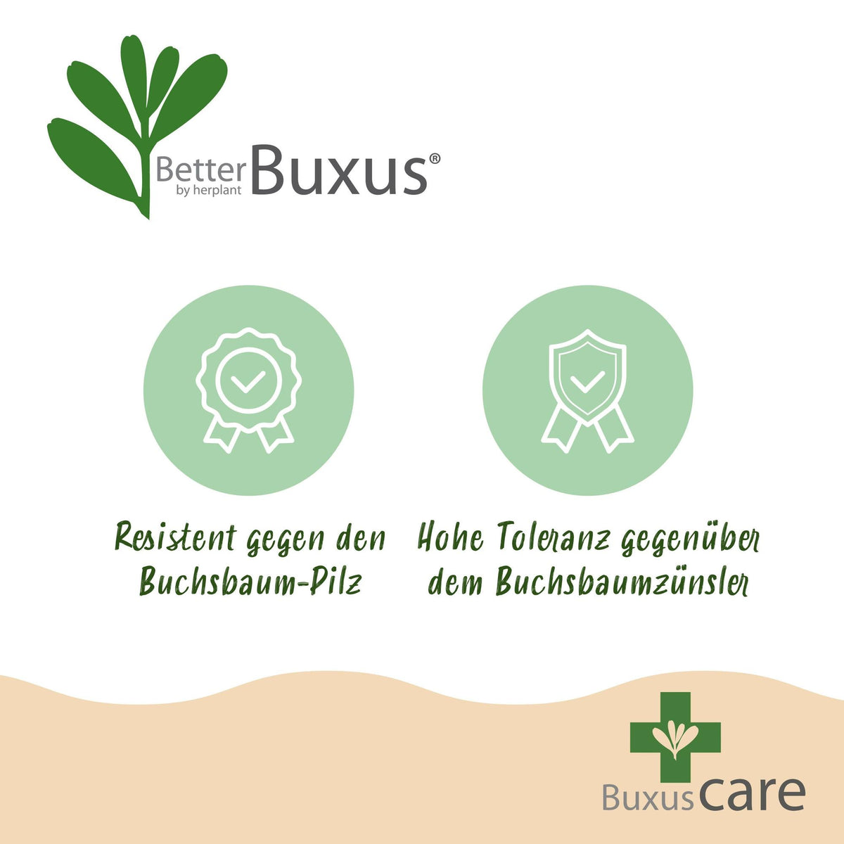 BetterBuxus® &