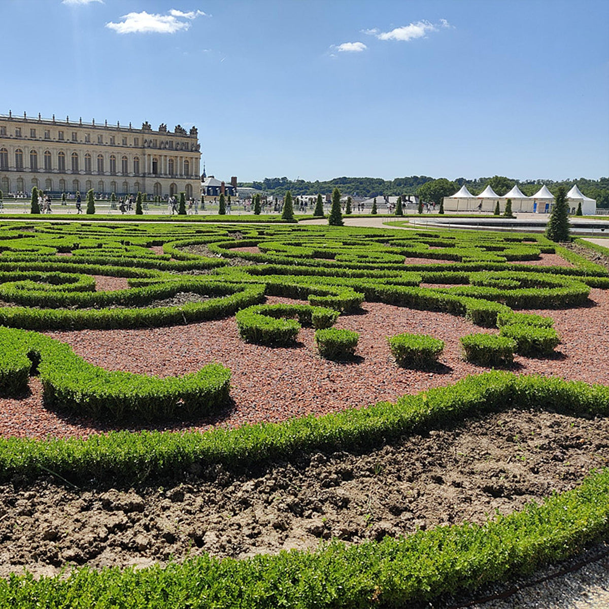 BetterBuxus® &