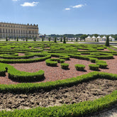 BetterBuxus® &