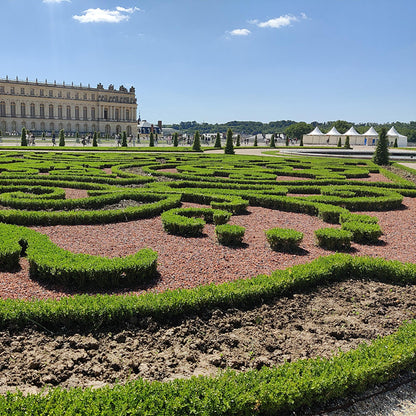 BetterBuxus® &