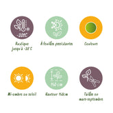 BetterBuxus® &