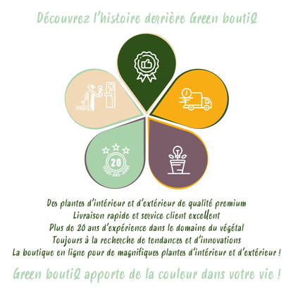 BetterBuxus® &