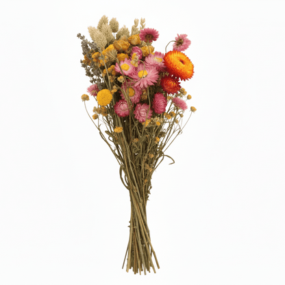 Ramo campestre assecat — Tons multicolors sobre fons blanc