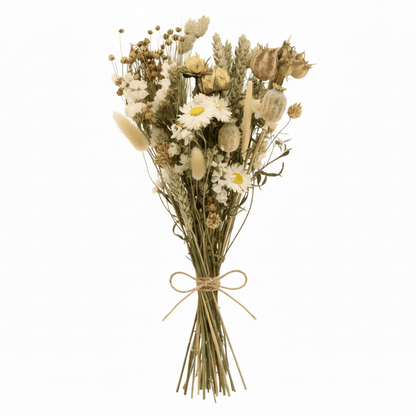 Ramo campestre assecat sobre fons blanc