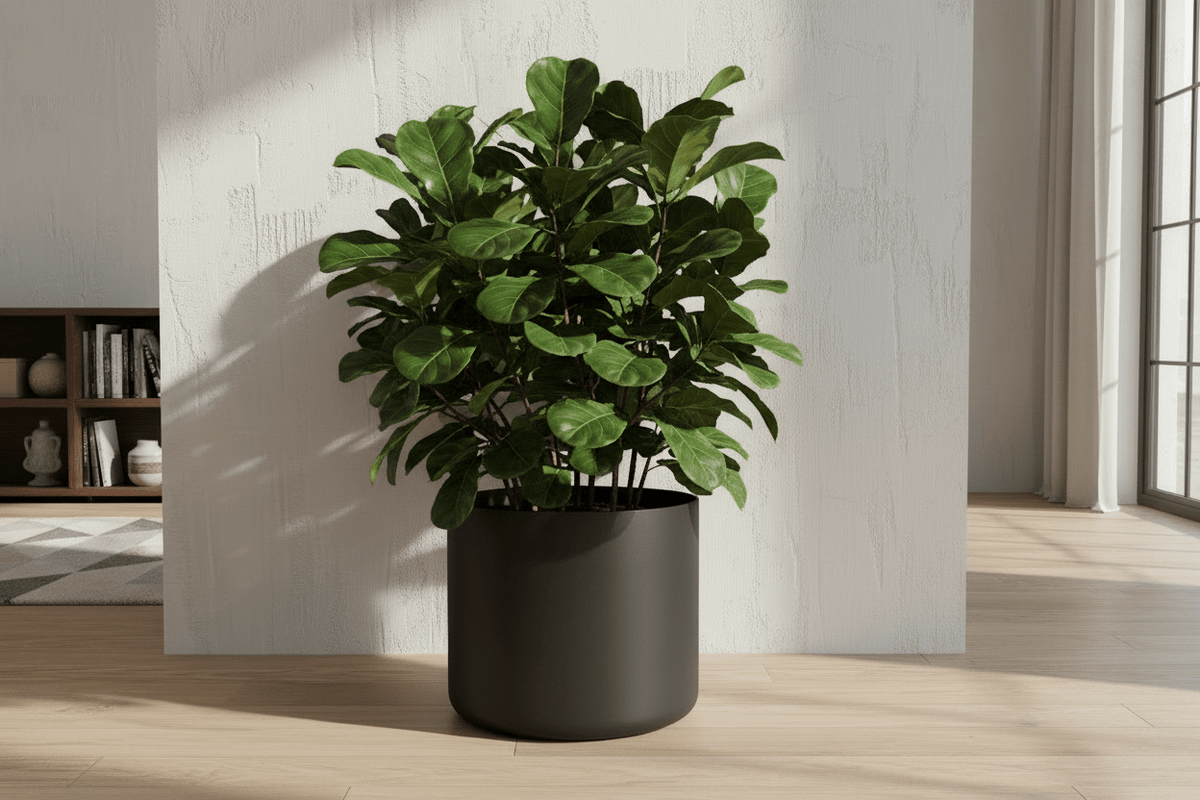 Cache - pot Elho B.for Soft anthracite - Verdeia - 2