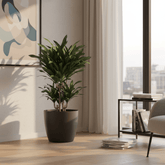 Maceta - macetero Elho Brussels Round antracita - Verdeia - 2