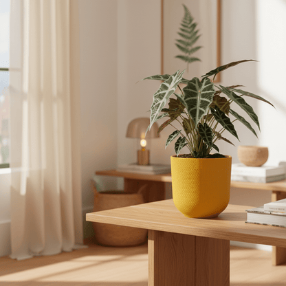 Maceta - macetero Elho Jazz Redondo amarillo ámbar - Verdeia - 3