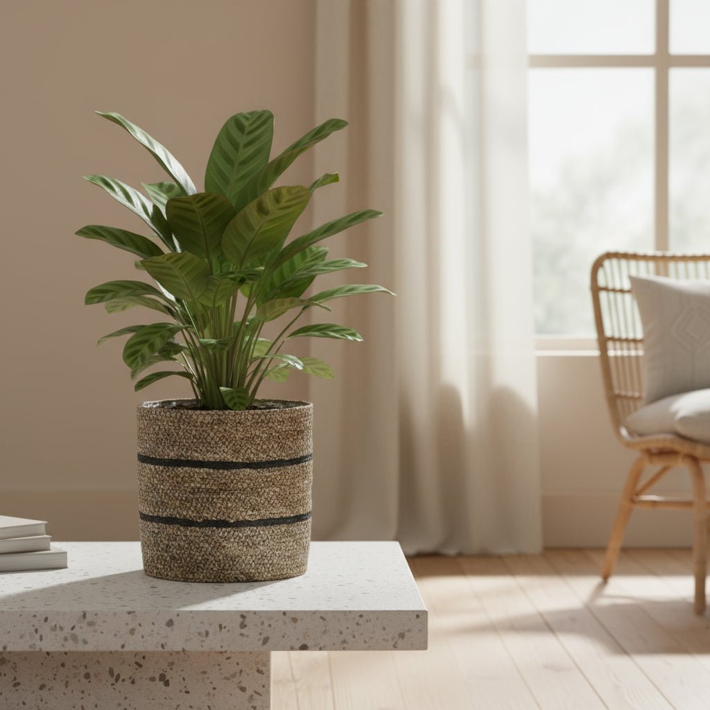 Cache - pot en jute Celestial — Ø20 cm - Verdeia