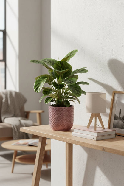 Maceta - relieve rosa cerámica - Verdeia - 2