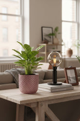 Maceta - relieve rosa cerámica - Verdeia - 4