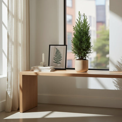 Chamaecyparis lawsoniana ‘Ellwoodii’ Ø9 cm — H35 cm - Verdeia