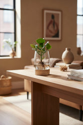 Clusia en gerro Kingston de vidre + LED — Planta hidropònica — Ø12 cm — H30 cm - Verdeia - 4