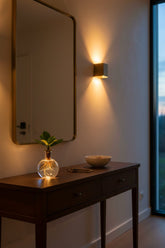 Clusia hidropónica Samoa LED – H10 cm | Boca Ø4 cm - Verdeia - 4