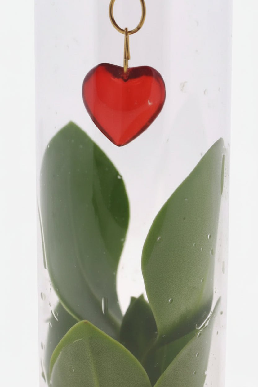 Clusia hydroponique — Tube verre bouchon liège et pendentif cœur - H15 cm | Ø7 cm - Verdeia - 2