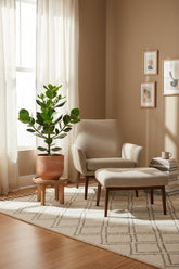 Clusia rosea &