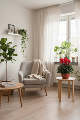 Red cyclamen — H40 cm | Pot Ø17 cm - Verdeia - 4