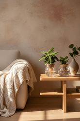 Dúo Monstera adansonii i Clusia — Hidropònic en pot - Verdeia - 5