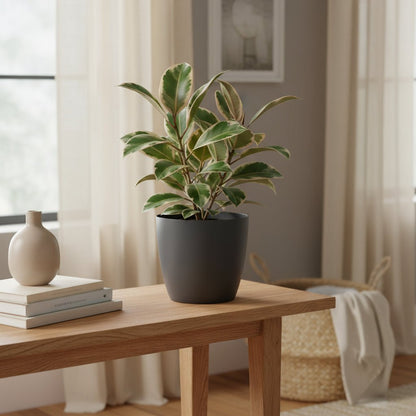 ELHO Brussels Rond – Cache - pot anthracite - Verdeia