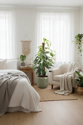 Epipremnum Pinnatum Albo Variegata (Pothos panaché) - H125 cm | Pot Ø24 cm - Verdeia - 5