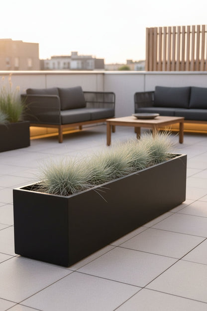 Festuca glauca Azura Blue (Fétuque bleue) - Verdeia - 5