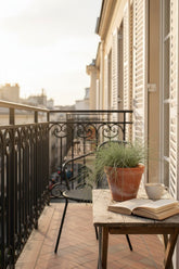 Festuca glauca Azura Blue (Fétuque bleue) - Verdeia - 4