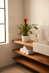 Guzmania &