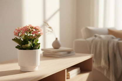 Kalanchoe rosa — Ø12 x A27 cm — Listo para colocar — Cerámica blanca - Verdeia - 4