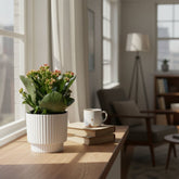 Kalanchoe rojo — Ø12 x H27 cm — Listo para colocar — Cerámica blanca - Verdeia - 3