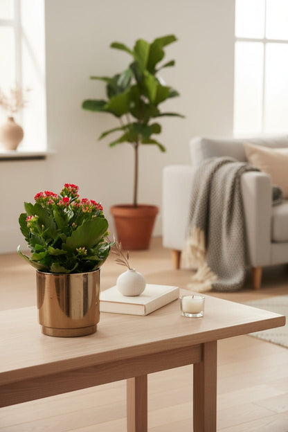 Kalanchoe rojo — Ø12 x H27 cm — Listo para colocar — Cerámica bronce dorado - Verdeia - 3